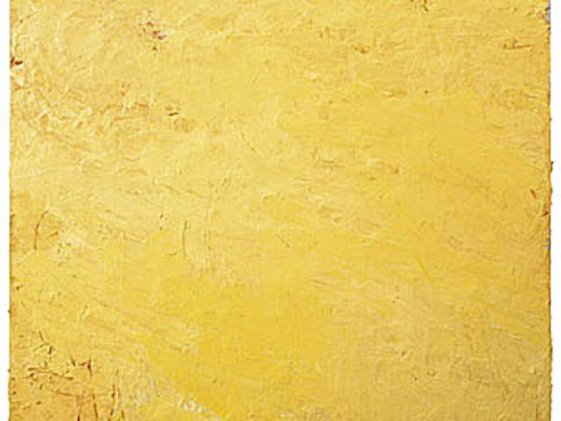 Aida Tomescu, Zinnia, 2006